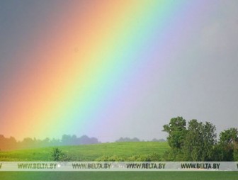 Дожди и грозы ожидаются в Беларуси 15 августа