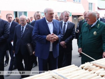 Лукашенко поручил разработать программу по обеспечению полной переработки древесных ресурсов