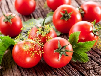 Как спасти помидоры от фитофторы в августе: простые и полезные советы