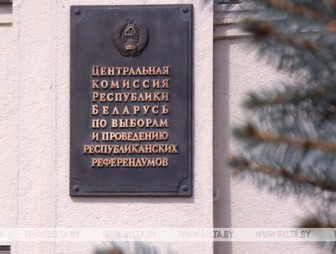 Первую миссию международных наблюдателей на выборах в Беларуси аккредитуют 4 сентября