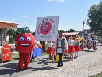 Синьор Помидор, мастер-классы и народная дегустация: в Ивье настоящий 'помидорный бум'