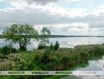 Оранжевый уровень опасности объявлен по северо-западу Беларуси 21 августа из-за гроз и ветра