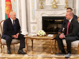 Беларусь продолжит настойчиво развивать отношения с Грузией - Александр Лукашенко