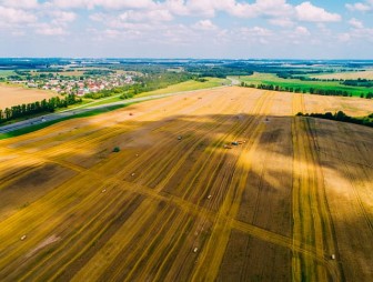 В Беларуси осталось убрать около 3% площадей зерновых