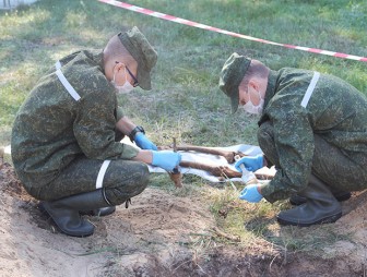 На Мостовщине обнаружены останки советского воина, погибшего в 1941 году