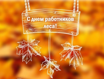 Поздравление жителей Мостовского района с Днем работников леса!