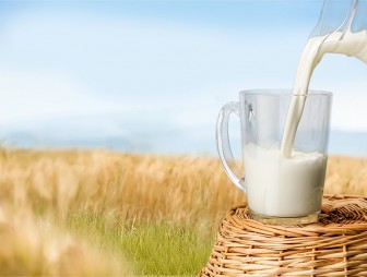 Почему молоко должно быть в рационе каждого здорового человека
