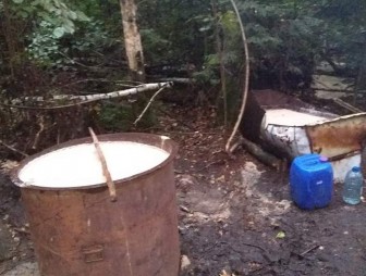 В лесу под Свислочью ликвидировали мини-завод по изготовлению самогона