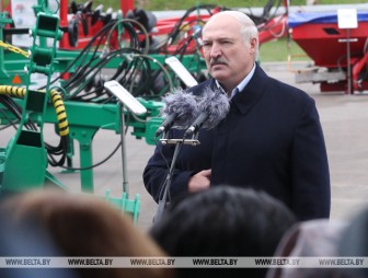 Александр Лукашенко поручил к 1 октября завершить в Беларуси сев озимых