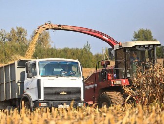 Хозяйства области убрали почти половину площадей кукурузы на силос