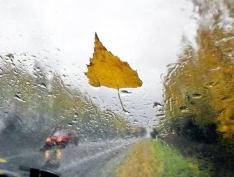 Дождливая погода ожидается в Беларуси в выходные