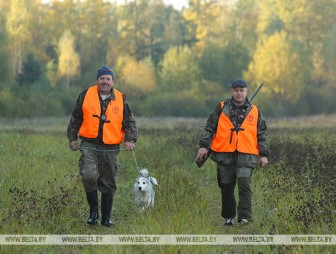 В Беларуси открывается сезон загонной охоты на лося, оленя и косулю