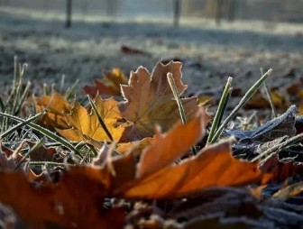 Холод и ночные заморозки прогнозируются в Беларуси 7-8 октября