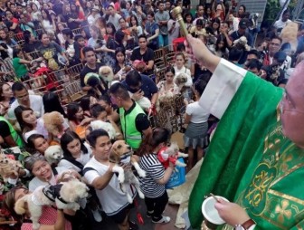 На Филиппинах прошел праздник благословения животных