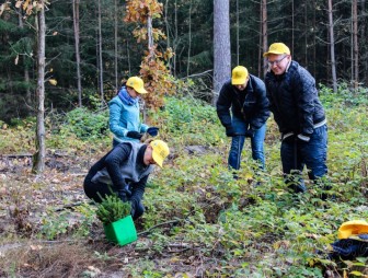 Республиканская акция «Чистый лес» стартует в Беларуси 19 октября
