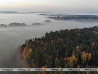 Оранжевый уровень опасности объявлен в Беларуси 22 октября из-за тумана