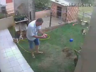 В Бразилии мужчина пытался вывести тараканов и взорвал свой двор