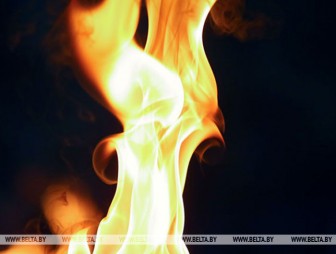 Жительница Слонимского района сожгла украденный паспорт, чтобы скрыть улики преступления