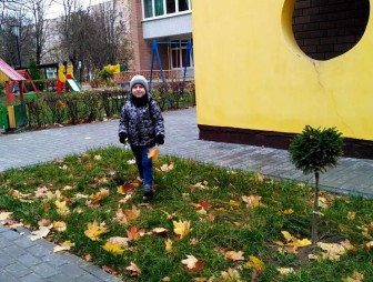 До +18°С ожидается в Беларуси 4 ноября
