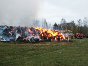 В Мостовском районе из-за детской шалости сгорело 100 т соломы