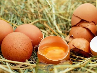 Ученые: куриные яйца помогут предотвратить возрастную слепоту