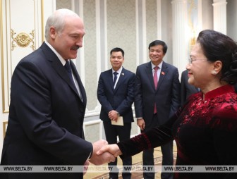 Беларусь и Вьетнам многое сделали для более успешного развития экономических отношений - Александр Лукашенко