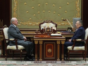 Лукашенко поручил подготовить законопроект об амнистии к 75-летию Победы