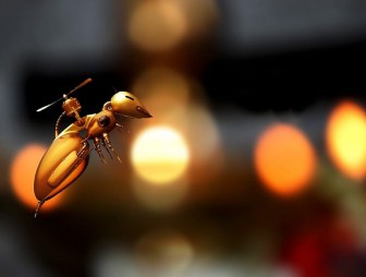 В Швейцарии создали миниатюрного робота-жука