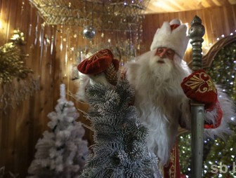 Дед Мороз из «Беловежской пущи» принимает до 6 тысяч туристов в день