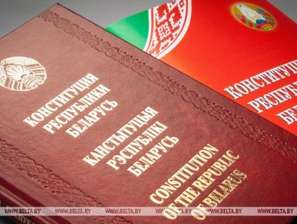Депутаты подключатся к работе по совершенствованию Конституции -Владимир Андрейченко