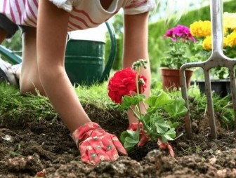«Сезонные работы»: 16 дел, которые нужно сделать в мае в саду и огороде