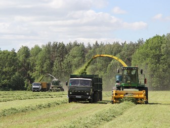 На Мостовщине хорошо подготовились и организованно начали заготовку травянистых кормов