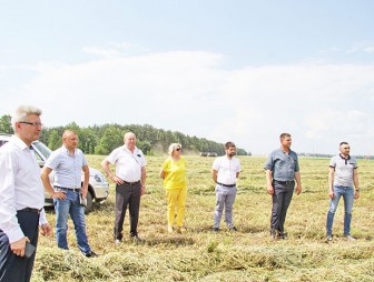 Первый заместитель председателя райисполкома Юрий Костоломов – о новых возможностях при заготовке кормов