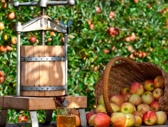Август — пора заготовок из яблок
