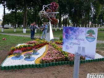 Скидель готовится стать столицей Гродненского областного фестиваля 'Дажынкі 2020'