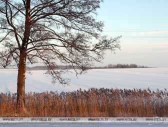 Туман, снег и гололедица ожидаются в Беларуси 24 февраля