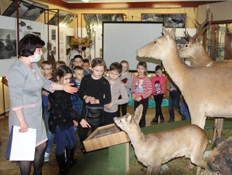 Школьники из Гродно учились правильно отдыхать на природе в мостовском музее «Лес и человек»