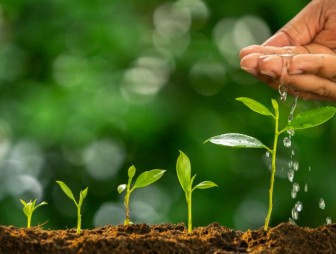 Как приобрести качественные средства защиты растений – советы от Мостовской районной инспекции по семеноводству