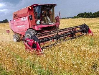 В Беларуси намолочено более 2,2 миллиона тонн зерна