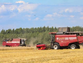 Белорусские аграрии намолотили более 4,1 миллиона тонн зерна