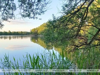 В Гродненской области выявили нарушения на арендованных водоемах