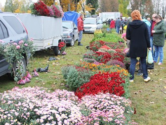 25 сентября в Мостах состоится ярмарка-продажа сельскохозяйственной продукции