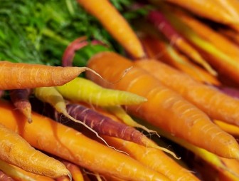 Качественный урожай: как правильно сажать морковь под зиму