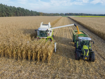 Гродненская область лидирует в республике по урожайности зерна кукурузы