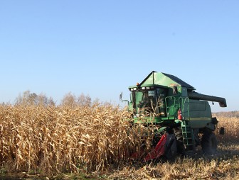 Гудевичские аграрии получают самый высокий урожай кукурузы на зерно