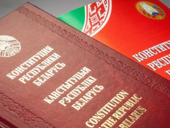 Александр Лукашенко: кампания по внесению поправок в Конституцию соответствует всем демократическим нормам