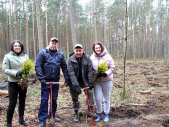 Мостовский райисполком и районный Совет депутатов приняли участие в Неделе леса