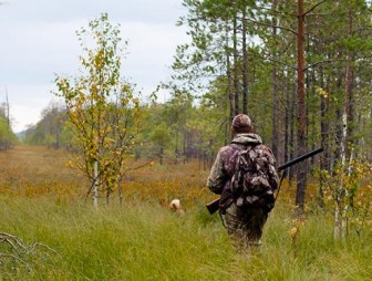 На заметку охотникам Мостовщины: с 1 октября открывается загонная охота на копытных животных