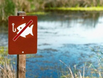 В Мостовском районе введён запрет на любительское рыболовство. Узнайте, где именно