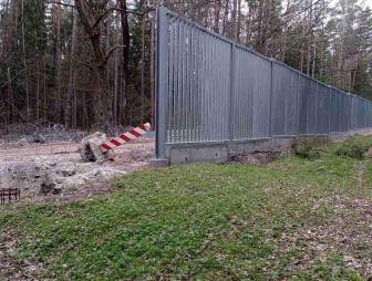 Забор построили, а на природу махнули рукой. Как польская стена убивает фауну Беловежской пущи